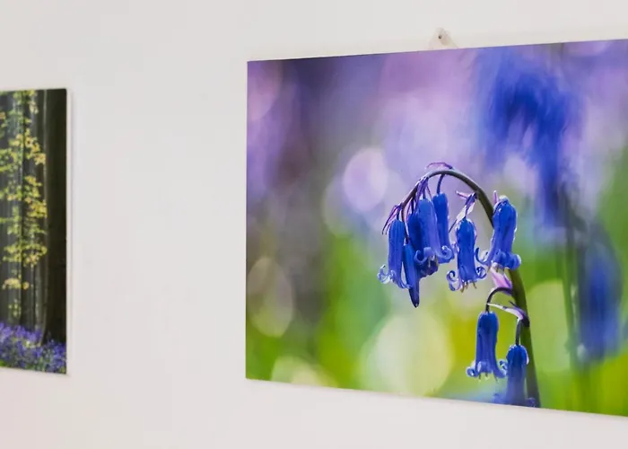 Διαμέρισμα Marina